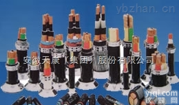安徽<em>天康</em>ZR-YJV22    3*50+1*25<em>铠装</em><em>电力电缆</em>
