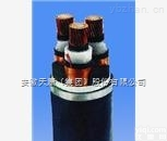 WDZR-YJV23   3*50安徽<em>天康</em>交联聚乙烯绝缘阻燃低烟无卤护套<em>铠装</em>型<em>电力电缆</em>