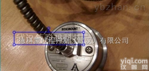 <em>1199</em>  <em>罗斯蒙特</em><em>1199</em>型<em>远传</em>膜片系统