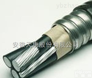 YJHLV22  <em>稀土</em>高铁铝<em>合金</em>钢带铠装电力电缆