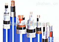 IA-YP3V-1 本安<em>铜带</em><em>控制电缆</em>  厂家供应