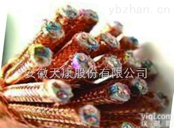 <em>DJYVP</em><em>计算机</em><em>特种电缆</em>