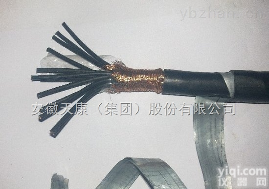 安徽天康WDZA-HDKYJY 10*1.5²<em>核电站</em>0.6/1KV及以下<em>控制电缆</em>