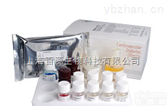 人<em>白三烯</em> （LT）ELISA<em>试剂盒</em>提供<em>说明书</em>，提供一对一指导