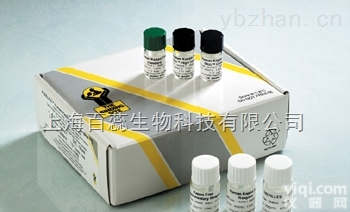 小鼠降钙素基因<em>相关</em>肽（CGRP）ELISA试剂盒<em>提供</em>说明书，<em>提供</em>一对一指导