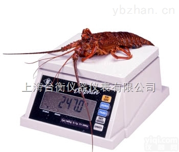 9903-30  <em>防水</em>秤.高级电子<em>防水</em>秤|<em>英展</em><em>防水</em>秤