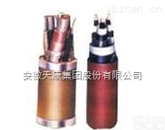 MYQ-0.3/0.5 MVV32  <em>安徽</em>天康<em>矿用</em>电缆/煤矿电缆