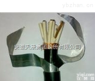 KVVP22  安徽<em>天康</em><em>控制电缆</em>