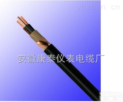 NYCWY 2*10+re10. <em>mm</em>²<em>电力</em>电缆