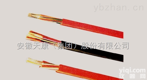 安徽天康KX-FP1HB 2*1.5<em>玻璃纤维</em>耐高温补偿<em>导线</em>