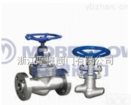 J41Y  <em>浙江</em><em>摩根</em>不锈钢高温<em>截止阀</em>