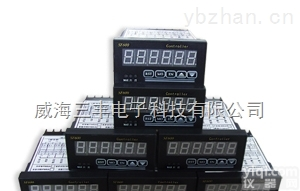 光栅显示器<em>数显</em>表<em>说明书</em>