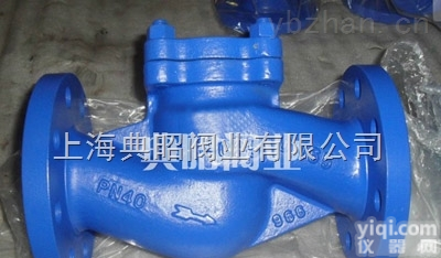 Fig10;003  德国<em>艾瑞</em><em>ARI</em>蒸汽<em>止回阀</em>