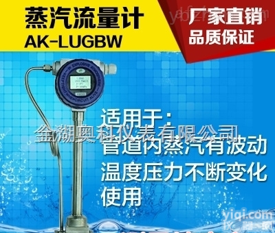 <em>蒸汽流量仪</em>，<em>蒸汽流量仪</em>价格