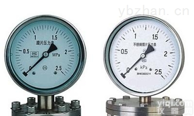 YPF-100  YPF-150防腐膜片式压力表