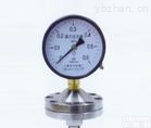 YP-100-BZ<em>耐腐</em><em>耐震</em><em>膜片</em>压力表