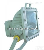 <em>BAT83</em>  <em>BAT83</em>系列防爆<em>泛光</em>灯（IIC）