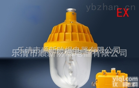 <em>BPC8720防爆平台灯  BPC8720防爆平台灯</em>