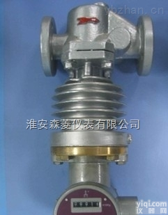 <em>旋翼</em>式<em>蒸汽</em><em>流量计</em>，<em>蒸汽</em><em>旋翼</em>型<em>流量计</em>