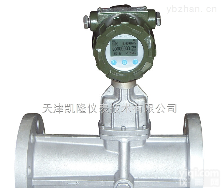 <em>天津市</em>氯气<em>流量</em>计厂家