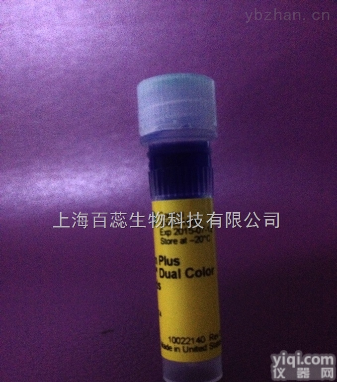 高纯度1-<em>十一</em>碳烯,1-Undecene<em>现货供应</em>,提供一对一服务