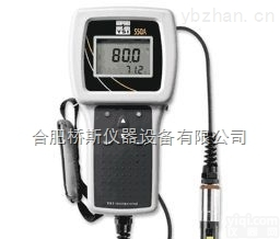 550A-<em>12</em>  <em>美国</em>YSI 550A-<em>12</em>便携式溶解氧测量仪/溶氧仪