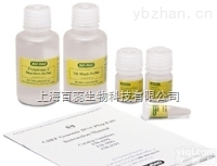 高纯度D-泛<em>酸钠</em>,Sodium D-pantothenate<em>现货供应</em>,提供一对一服务