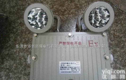 <em>BAJ52</em>  双头防爆<em>应急灯</em>供应厂家<em>BAJ52</em>防爆灯