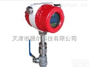 QE600 <em>热式</em><em>气体</em><em>流量计</em>  高温<em>热式</em><em>气体</em>质量<em>流量计</em>