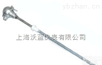 按需定制  F46专业防腐热电偶