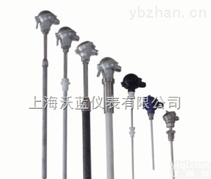 按需定制  金属<em>合金</em>溶液<em>热电偶</em> 防腐<em>热电偶</em>