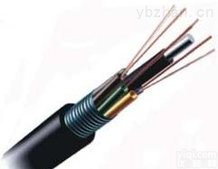 GYTS-12A1，  安徽<em>天康</em>12芯多模<em>光缆</em>