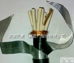 YJV22-1*95  YJV22-1*95不锈钢<em>钢带</em><em>铠装</em><em>电力电缆</em>