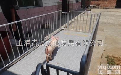 GH-SCS  称猪<em>地磅</em>秤-<em>畜牧</em>电子<em>地磅</em>2吨价格多少