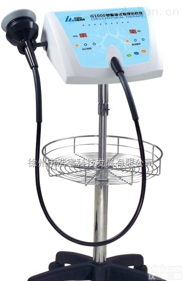 <em>G1000振动排痰机</em>