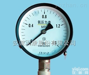 天仪Pai<em>YA-60 YA-100 YA-150氨用压力表</em>