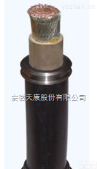JG  <em>安徽</em>天康-180℃<em>电机</em>绕组引接软电缆