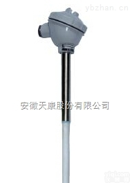 熔炼用耐高温<em>1800</em>℃热电偶多少钱一支，<em>哪里</em>能买到耐用的