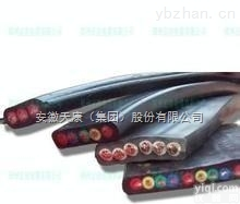 安徽天康YVFB 10*1.5丁晴<em>弹性体</em>绝缘<em>扁平</em>电缆