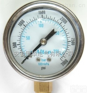 YN-<em>100</em><em>耐震</em><em>压力表</em>  YN-<em>100</em><em>耐震</em><em>压力表</em>