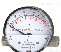 700.01, 700.02  WIKA 700.01, 700.02 <em>差压</em>表
