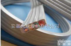 出售（安徽天康）YVFB,YVFBJ丁硅扁平电缆产品<em>特点</em>和<em>性能</em>-洲鸽Pai（品质兼优）