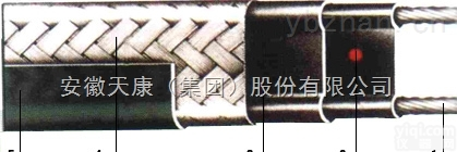 <em>安徽</em><em>天康</em>DBR-P/Jz-35-220低温阻燃防爆<em>加强型</em>电伴热带