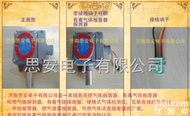 <em>便携式天然气气体检漏仪</em>