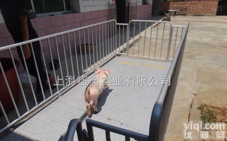 朝阳2吨带<em>围栏</em>的<em>电子秤</em>【辽宁<em>动物</em>地磅秤】