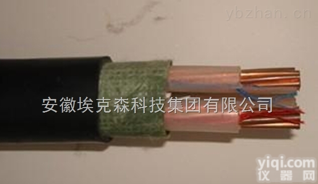 YJV-0.6/1KV-2*16  聚乙烯绝缘聚氯乙烯护套铜芯<em>耐火</em><em>交联</em><em>电力电缆</em>