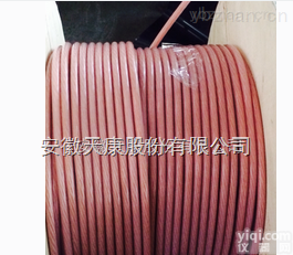 JG/<em>JGG</em>硅橡胶<em>电机</em>引<em>接线</em>多少钱一米，哪里有现货（天仪Pai）