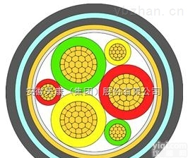 安徽天康生产<em>阻燃</em>性<em>变频</em>电力<em>电缆</em>ZR-BPYJVP3*16+3*2.5