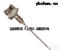 WRNK-<em>201</em>  <em>上海</em>WRNK-<em>201</em>铠装热电偶