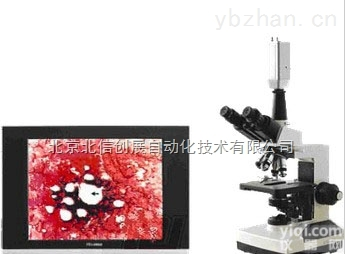 HG13-BRZ52  一滴血<em>检测仪</em> ，<em>双目</em>型一滴血<em>检测仪</em>